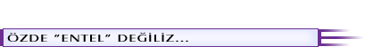b13.gif