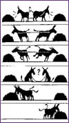 cooperation_02.jpg